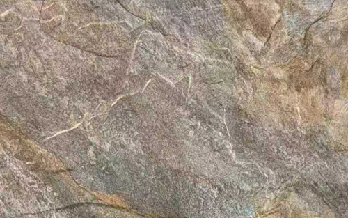 6215 - 12 x 24 Matt Tile (63076)