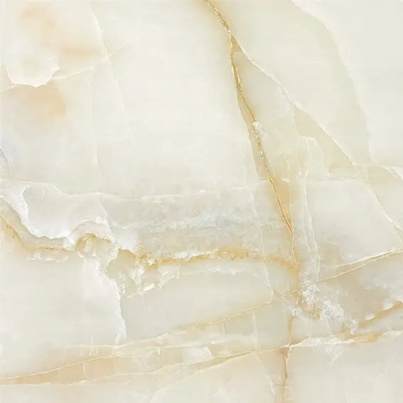 24 x 24 Porcelain Tile - 6B6008